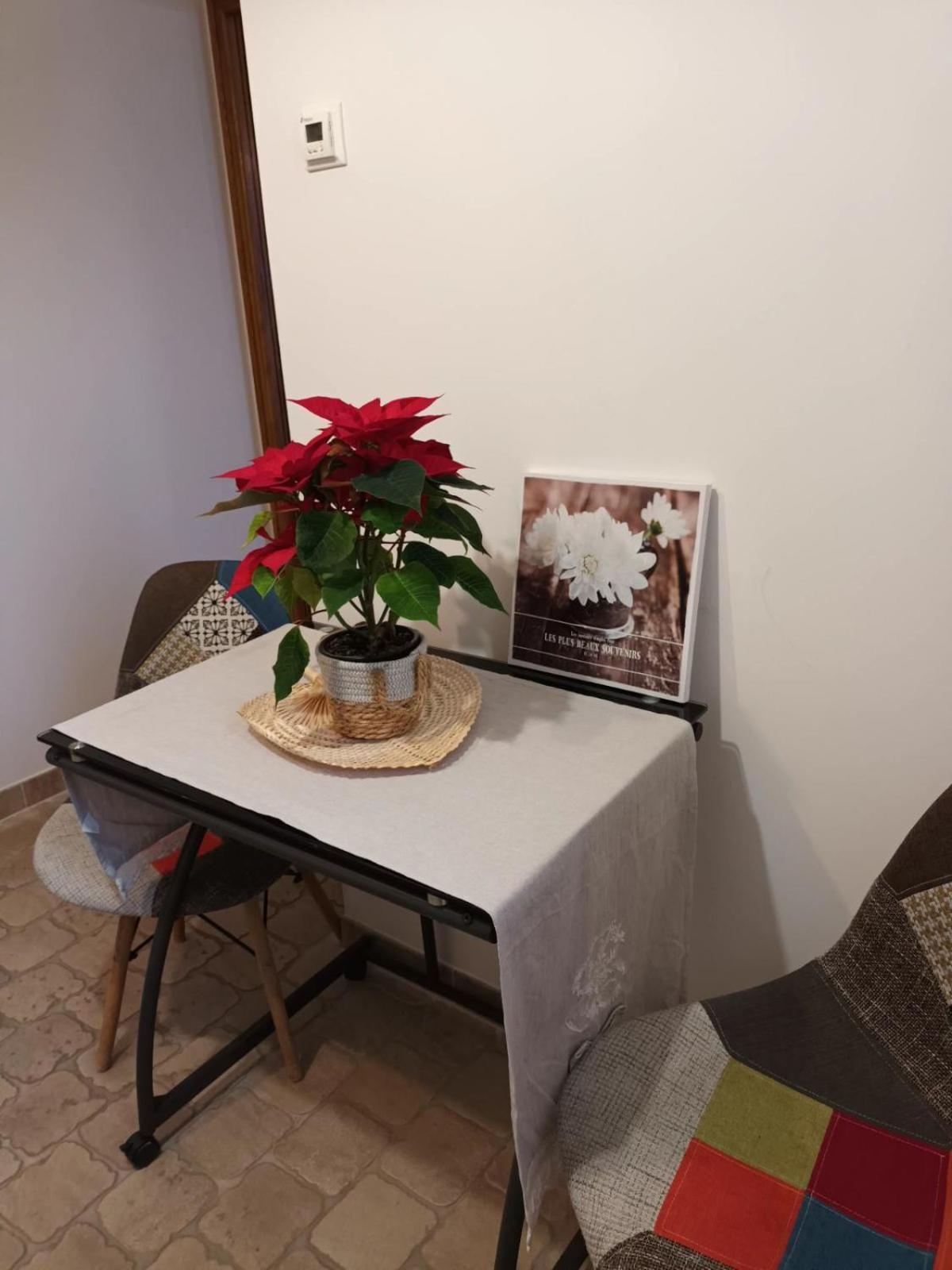 Entre Loire Et Cher Chambres D'Hotes Tour-en-Sologne エクステリア 写真